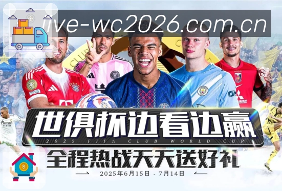 比分分析